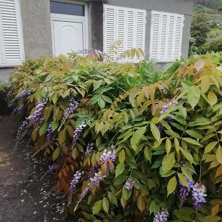 Casa Do Miguel