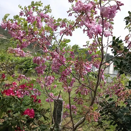 Casa Do Miguel Hébergement de vacances